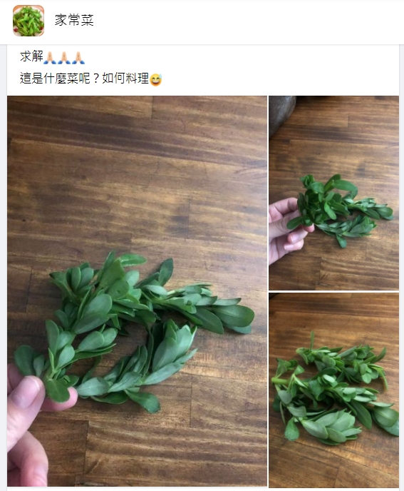 有網友詢問豬母奶要怎麼料理。(圖/翻攝自臉書社團《家常菜》)
