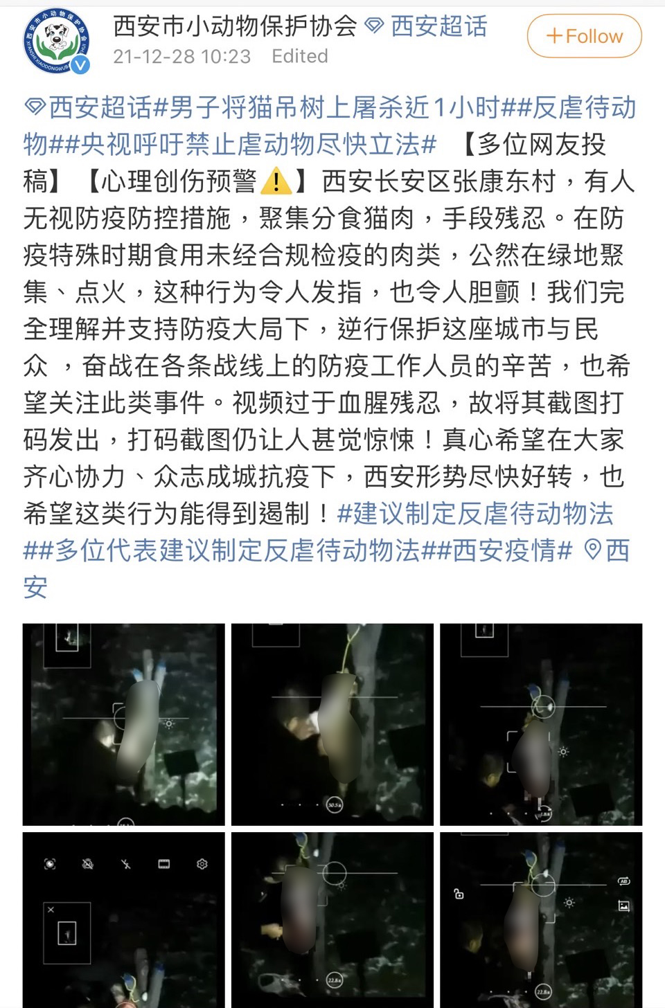 當地動保組織在微博上爆料。(圖/翻攝自微博)
