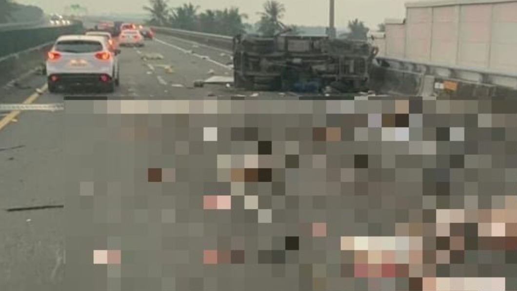 豬屍四散公路!元旦國道車禍 貨車遭追撞釀1死1傷