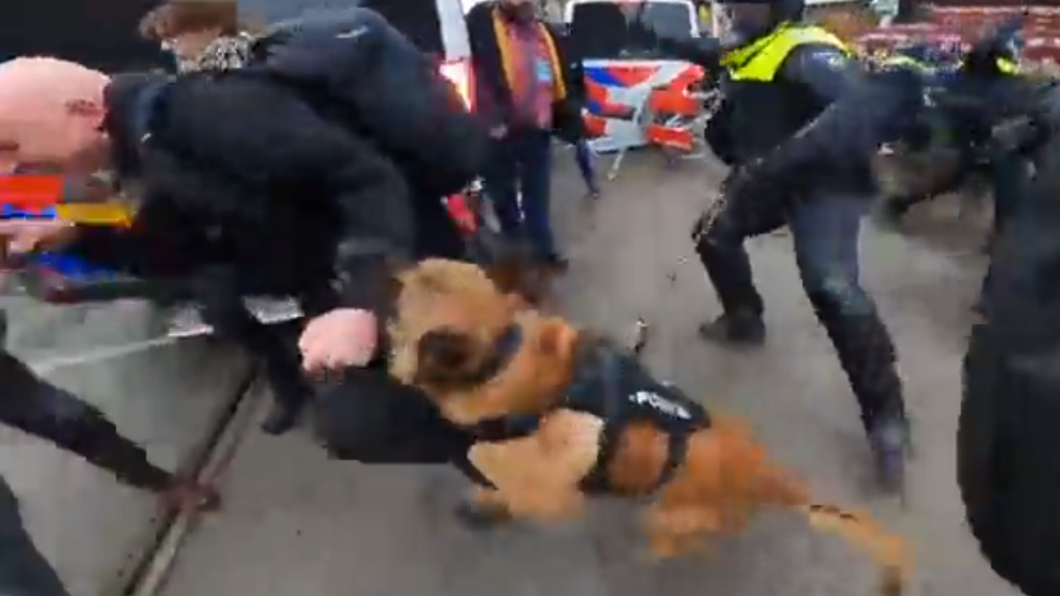 警犬失控咬示威者。（圖／翻攝自 Twitter）