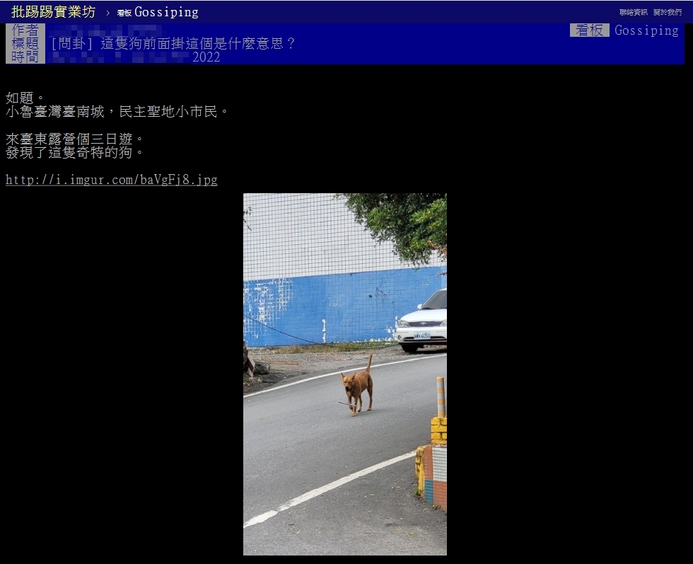 原PO以標題「這隻狗前面掛這個是什麼意思？」發文。（圖／翻攝自PTT）