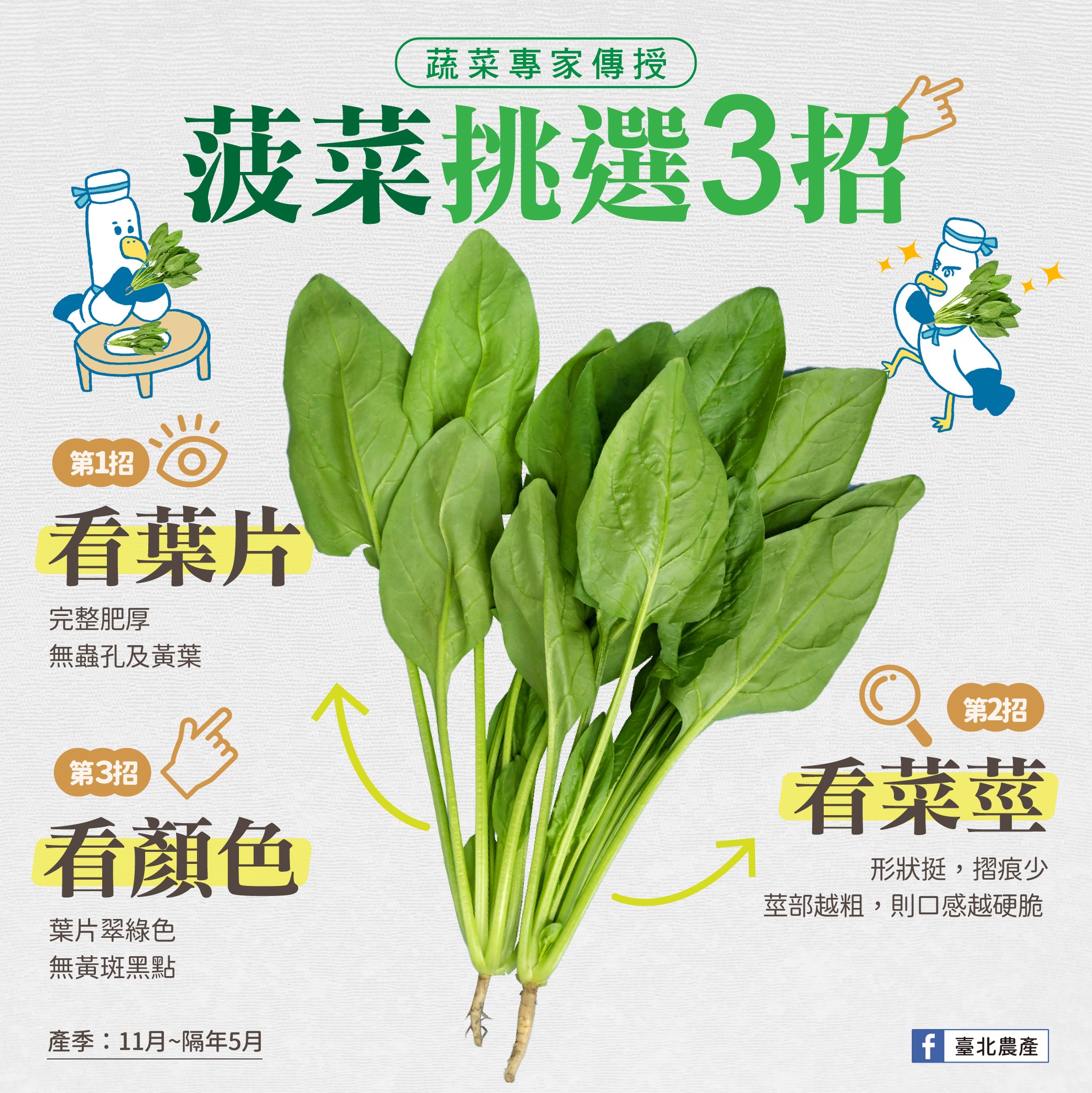 菠菜挑選三招。(圖/翻攝自臺北農產臉書粉絲專業)