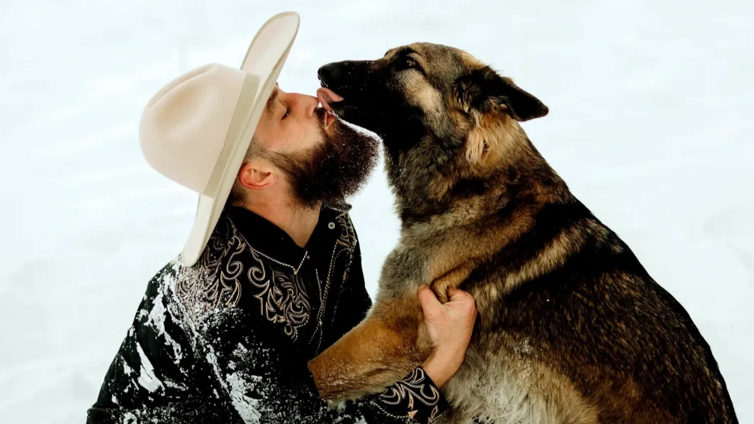 靈犬萊西4ni！　超神牧羊犬揪警察搶救車禍主人