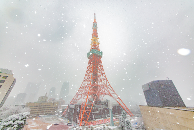 東京鐵塔官方推特上傳今(6)日雪中的景象。(圖/翻攝自nopponotouto推特)