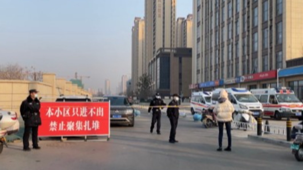 圖／翻攝自安妮的鹿微博