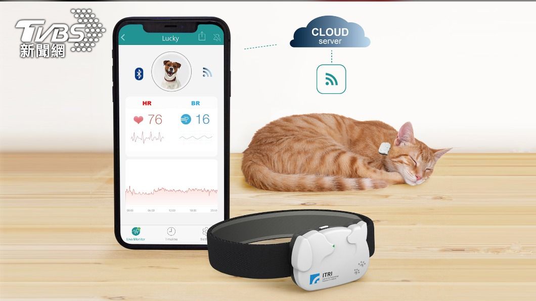CES2022/工研院獲3創新獎肯定　智慧寵物項圈最受矚目