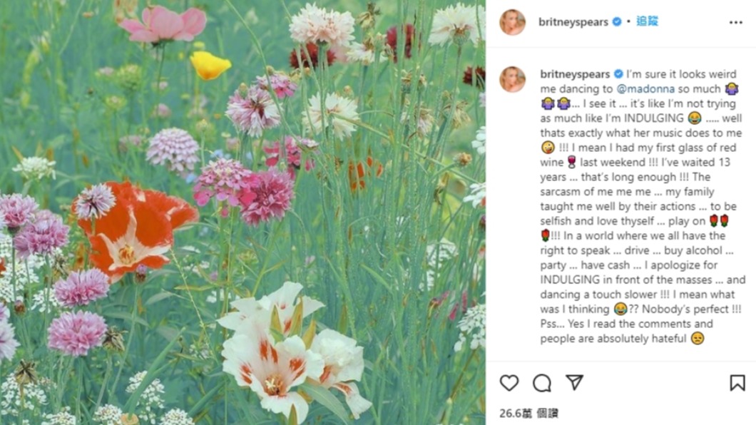 布蘭妮發文稱許多網友的留言都充滿仇恨。(圖/翻攝自@britneyspears Instagram)