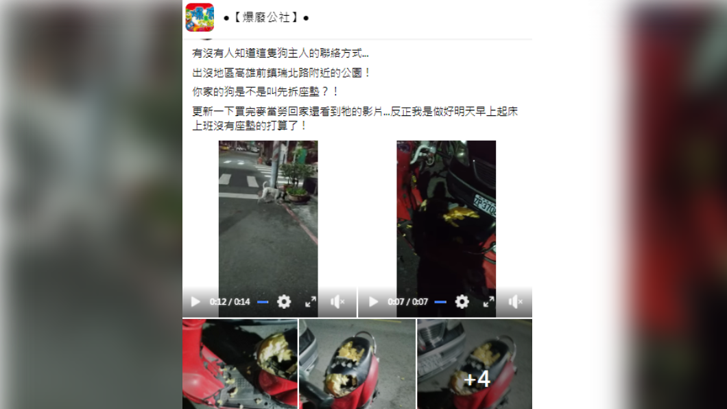 原PO分享日前發生的慘劇。(圖/翻攝自爆廢公社臉書)