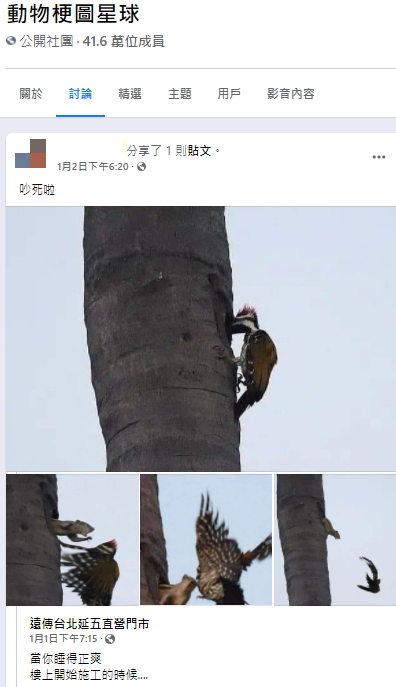 網友分享爆笑貼文。（圖／翻攝自「動物梗圖星球」）