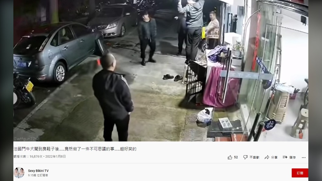 在場者見狗狗倉皇逃命忍不住大笑。(圖/翻攝自Sexy Bikini TV YouTube)