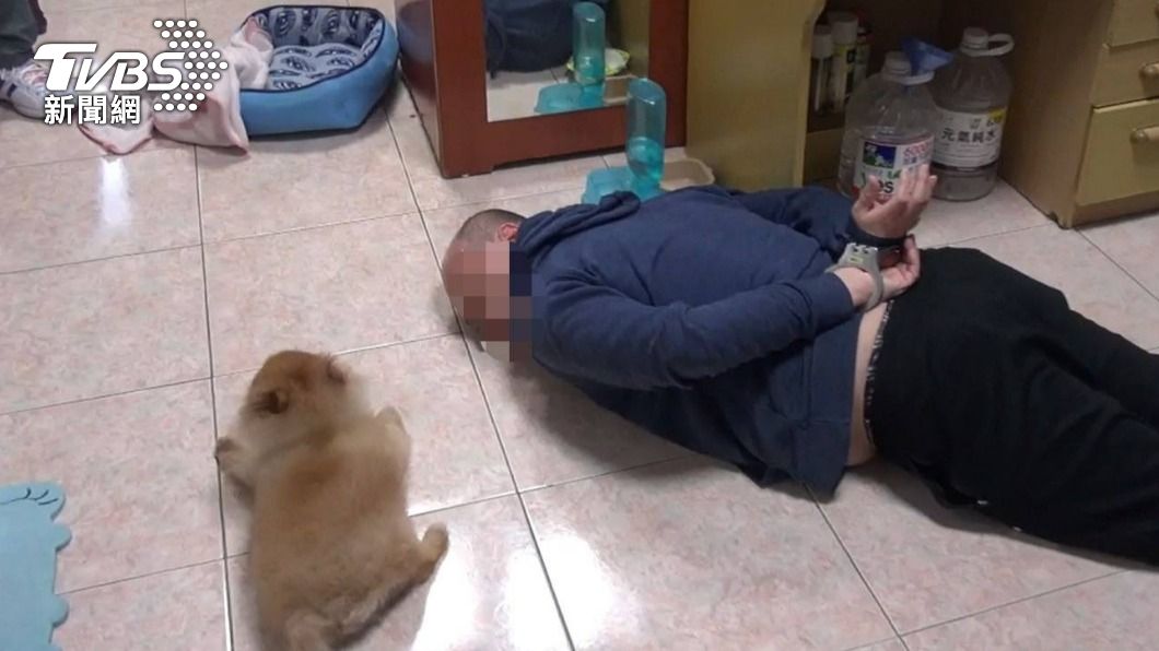 欸不是你啦!警逮通緝犯喝令「趴下」 狗狗四肢貼地不敢動