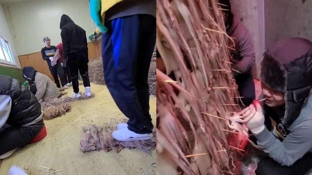 噁!南韓食品工廠「腳踩乾魷魚」 員工想吃直接放進嘴裡嚼