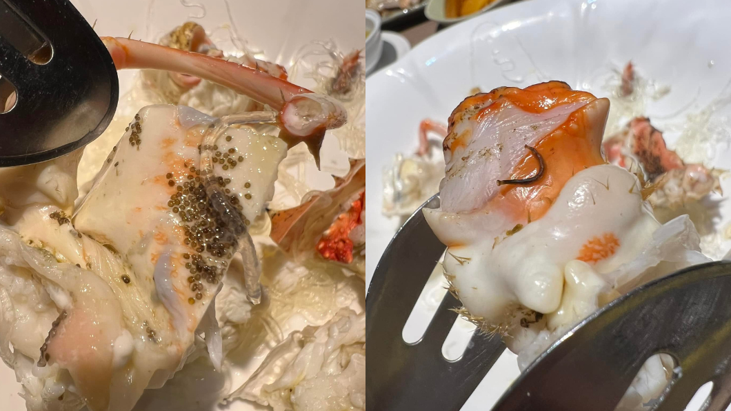 蟹肉上出現許多蟲卵。(合成圖/翻攝自「爆廢公社」)