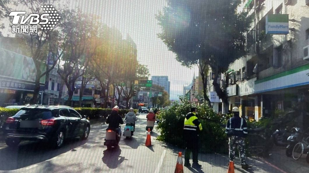 台中北屯中清路人行道樹的樹幹突然斷裂,砸傷女騎士。(圖/民眾提供)