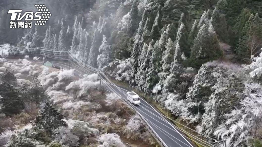 思源埡口清晨現雪白霧淞美景 宛如北國銀色世界