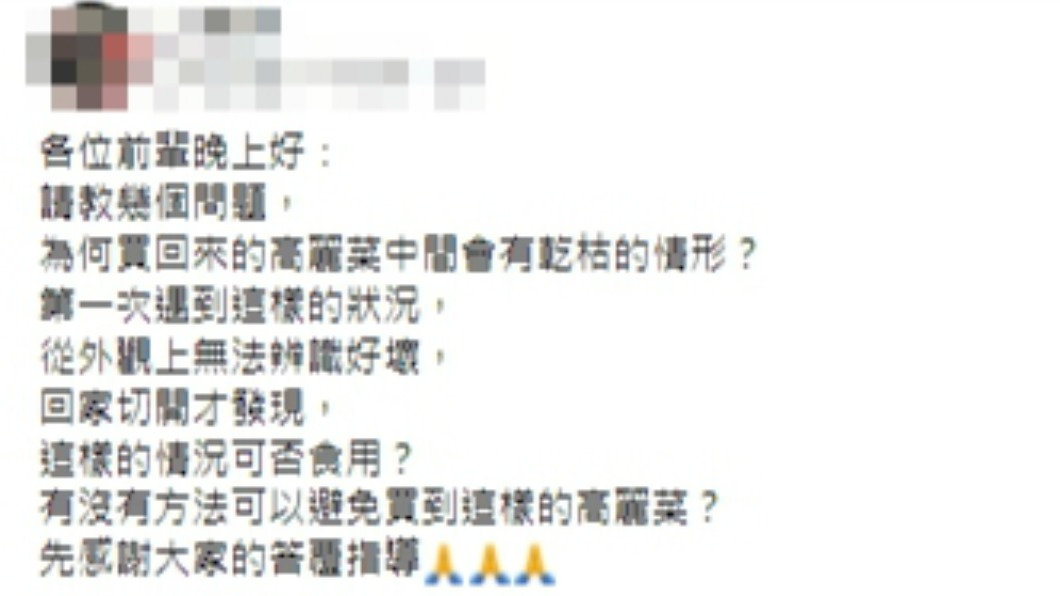原PO詢問高麗菜發生如此情況能否食用。（圖／翻攝自廚藝公社臉書）