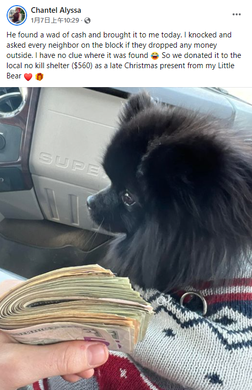 黑色博美咬錢給主人。(圖/翻攝自「Dogspotting Society」)