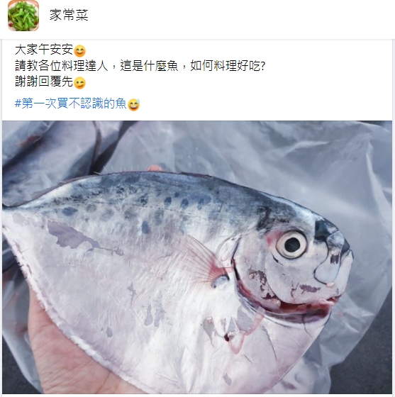 有網友在臉書詢問這種魚該如何料理。（圖／翻攝自臉書社團《家常菜》）