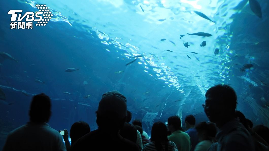 位於屏東縣車城鄉的「國立海洋生物博物館」。(示意圖/shutterstock 達志影像)