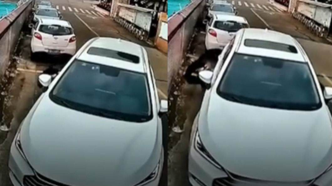 卜派是你?陸男技術差不會路邊停車 竟下車徒手拽進去