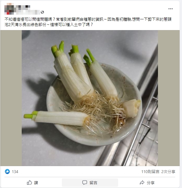 網友詢問該怎麼栽種冒芽的蔥頭。（圖／翻攝自臉書社團「家常菜」）