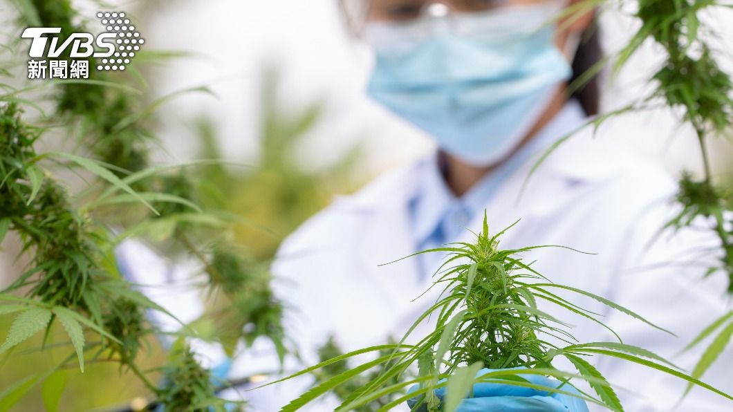 專家表示就算順利開發藥物,至少也要花費十年以上的時間。(示意圖/shutterstock 達志影像)