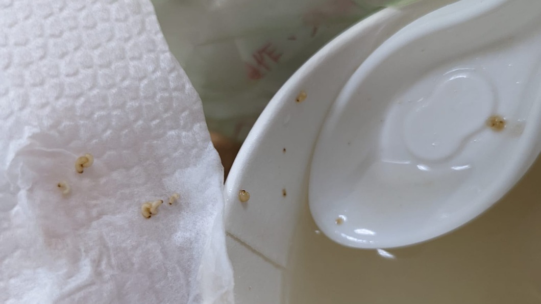 網友推測是店家的胡椒粉受潮才會長蟲。(圖/翻攝自爆料公社公開版)