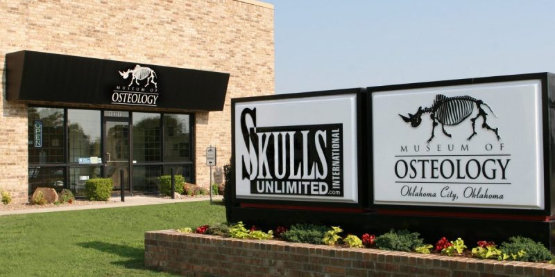 骨骼:骨科學博物館(Museum of Osteology)。(圖/翻攝自SKELETONS: Museum of Osteology)