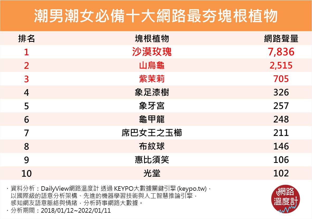 潮男潮女必備十大網路最夯塊根植物。(圖/網路溫度計)