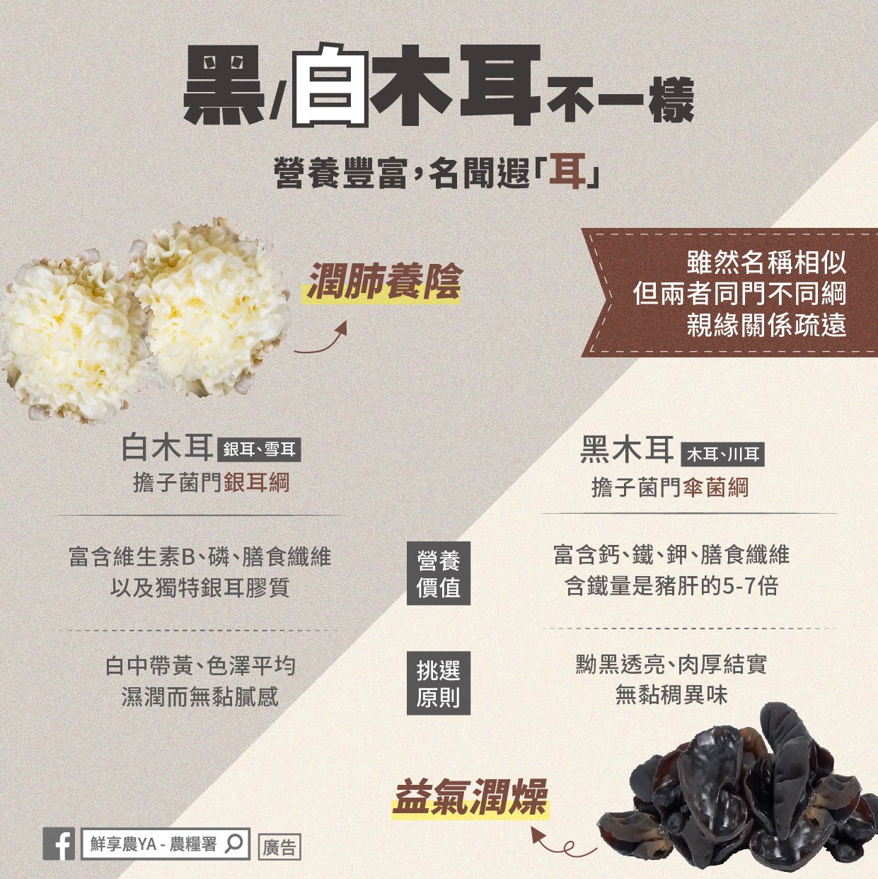 黑/白木耳不一樣。(圖/翻攝自農糧署臉書粉絲專頁)