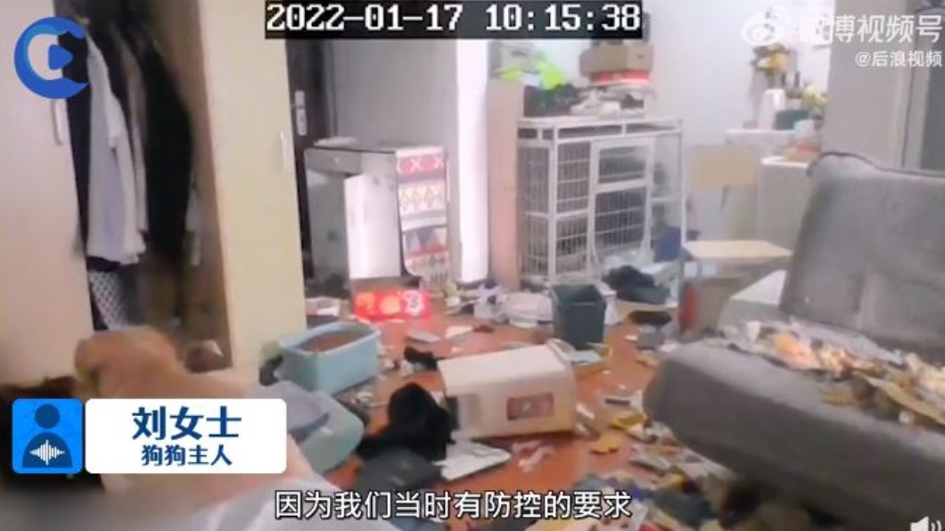 圖/翻攝自后浪视频微博