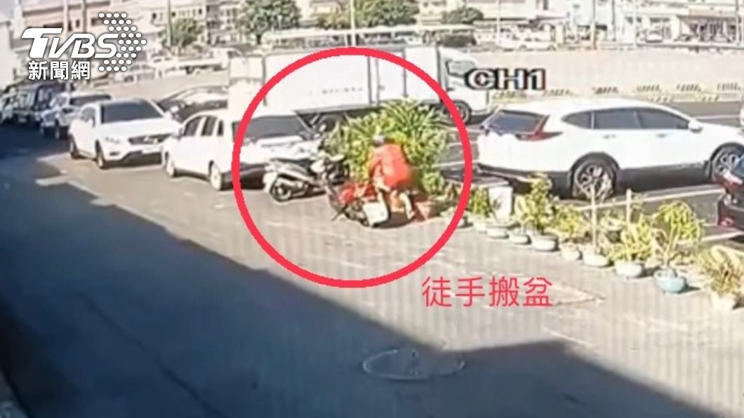 愛上翻轉味覺!老婦騎車偷搬「神秘果」 監視器全都錄