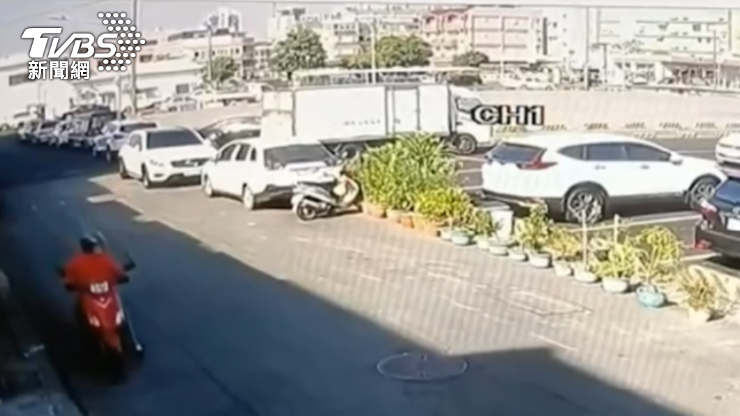 7旬婦騎車經過德民路巷子內,發現神秘果盆栽。(圖/讀者提供)
