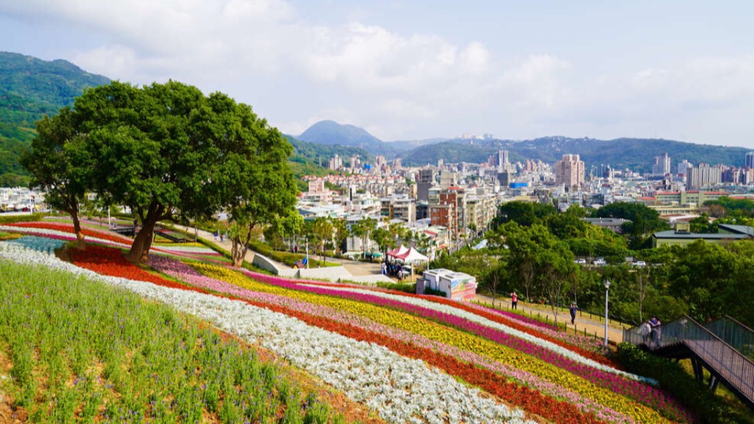 北投三層崎花海。（圖／翻攝taipei travel）