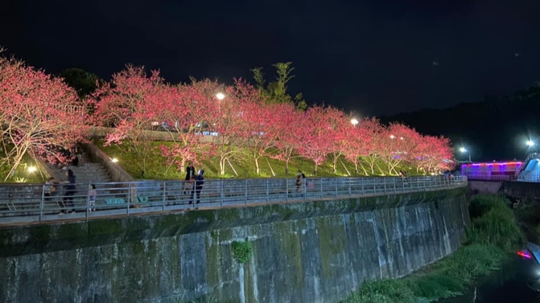 內湖樂活夜櫻季。（圖／翻攝樂活夜櫻季臉書粉專）