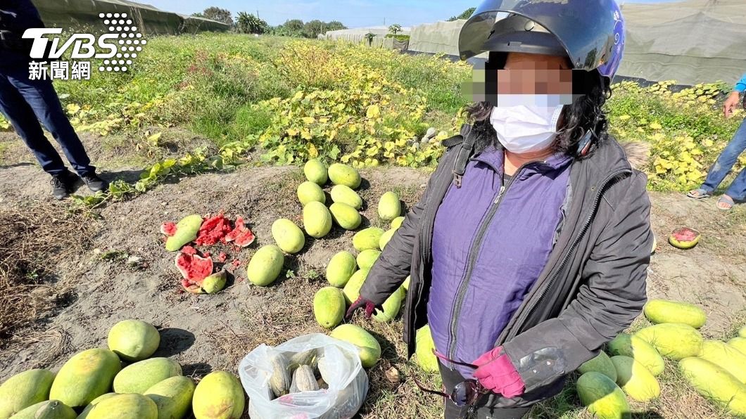 大膽小偷!屏東婦連偷30顆南瓜 遭逮後全倒出來 農民怒報警