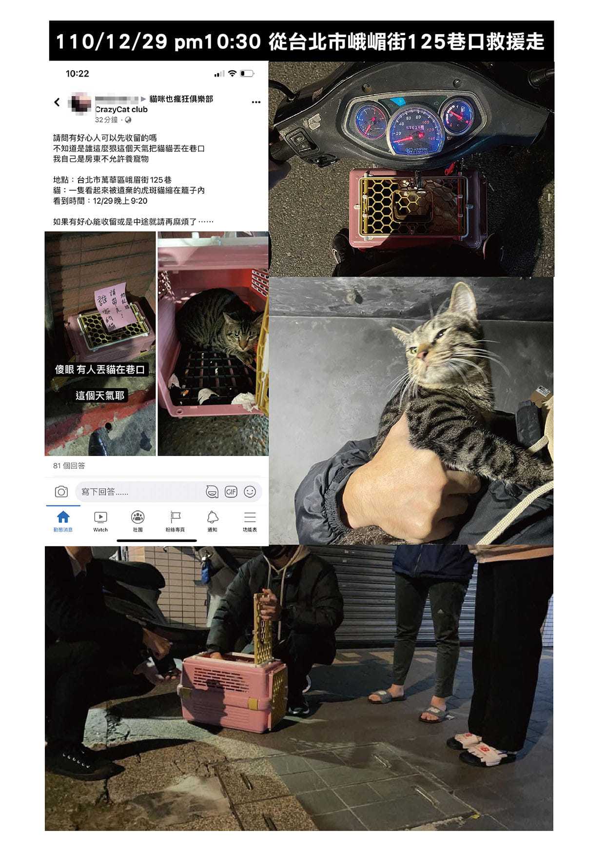 貓咪遭棄被民眾發現。(圖/Facebook動保法律互助)