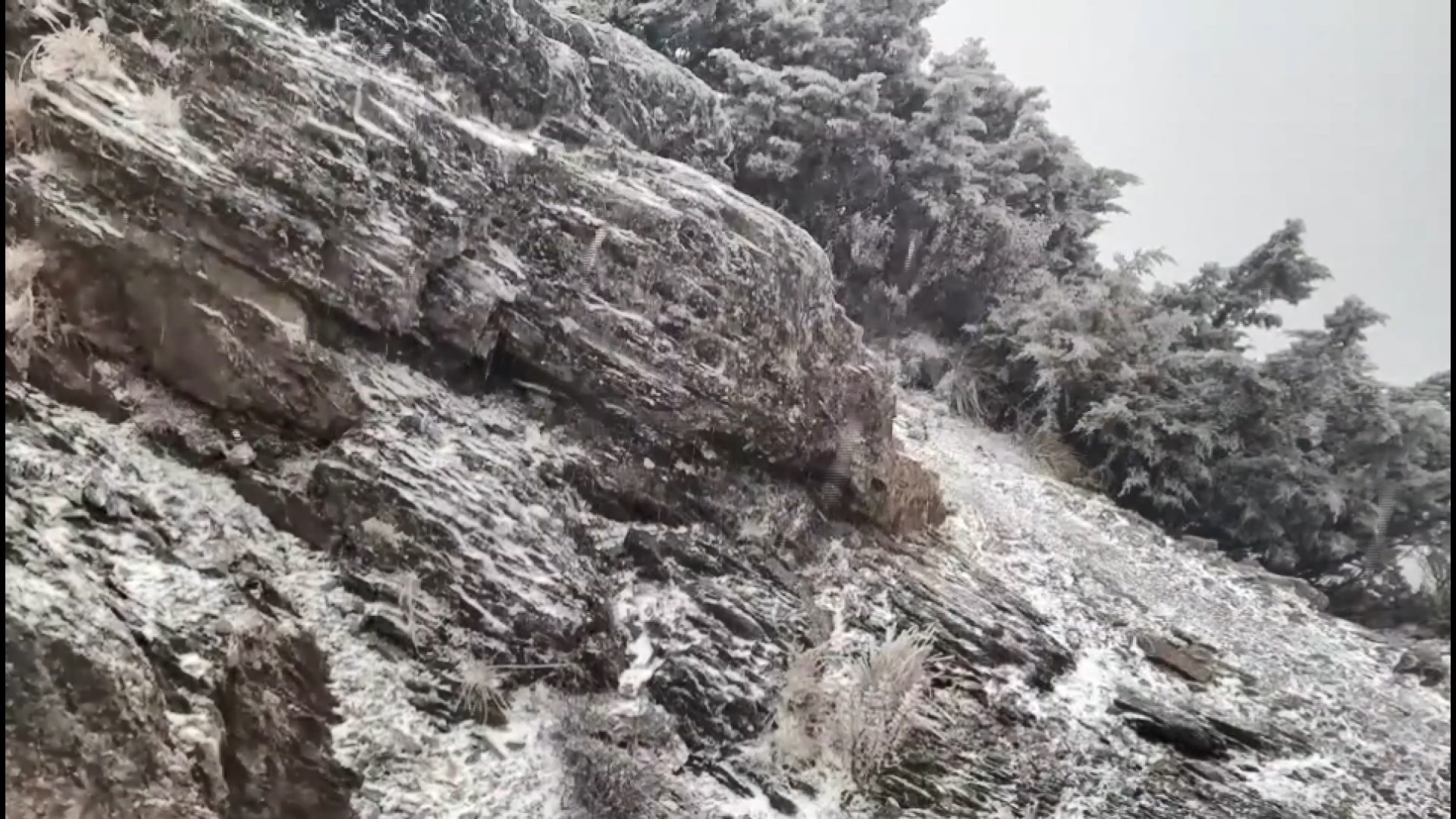 沒追到雪沒關係!中部以北仍有雨 初二後追雪時機曝光