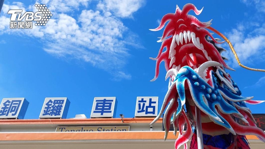 炮仗花 客家龍陪過年 苗栗銅鑼年味十足