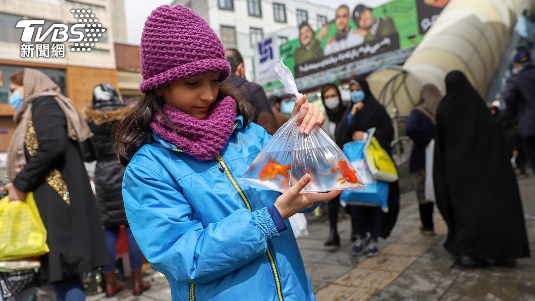 民眾常選擇金魚作為寵物,但卻不知選錯魚缸會導致金魚早死。(圖/達志影像路透社)