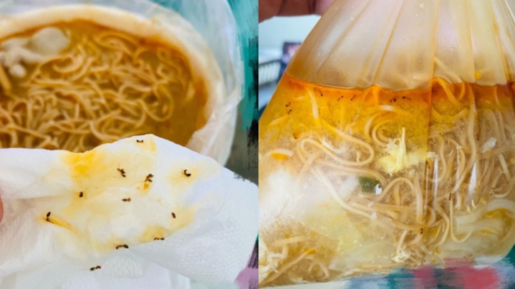 超噁!買湯麵「整碗飄滿螞蟻」 店家超跩態度她怒檢舉
