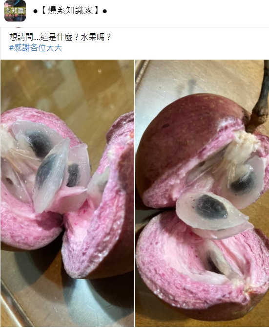 民眾好奇這是什麼果。(圖/翻攝自臉書社團《爆系知識家》)