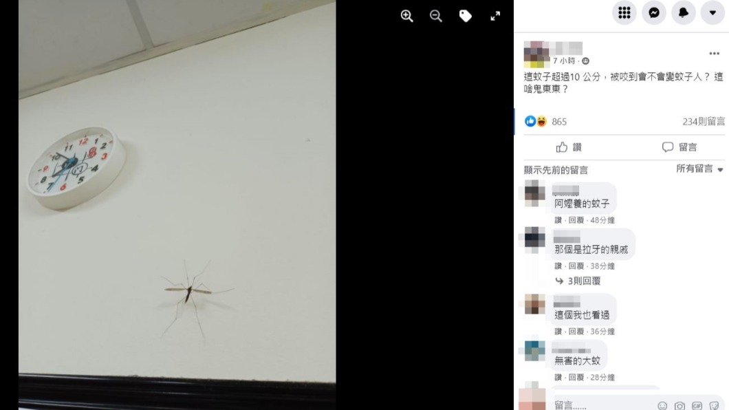網友也相當震驚蚊子如此巨大。（圖／翻攝自爆廢公社臉書）