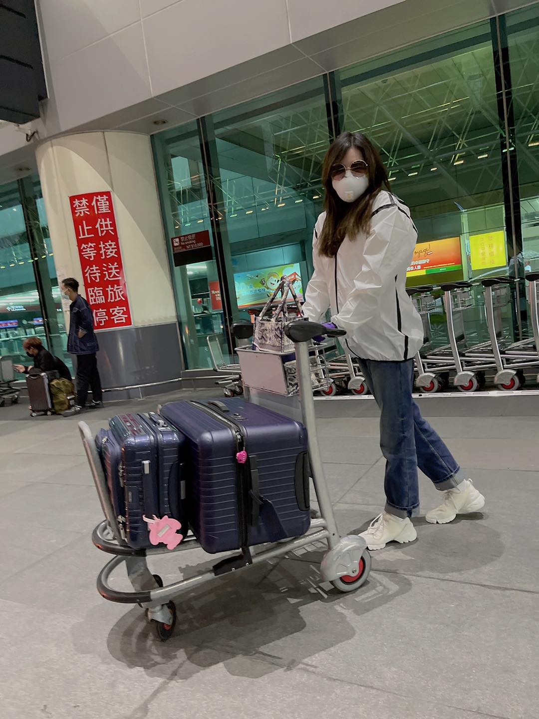 (圖/翻攝自何如芸 Michelle Ho Facebook)