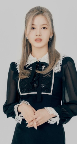 Sana為蒸走體內水分減輕體重,竟在桑拿房昏倒。(圖/翻攝自TWICE IG)