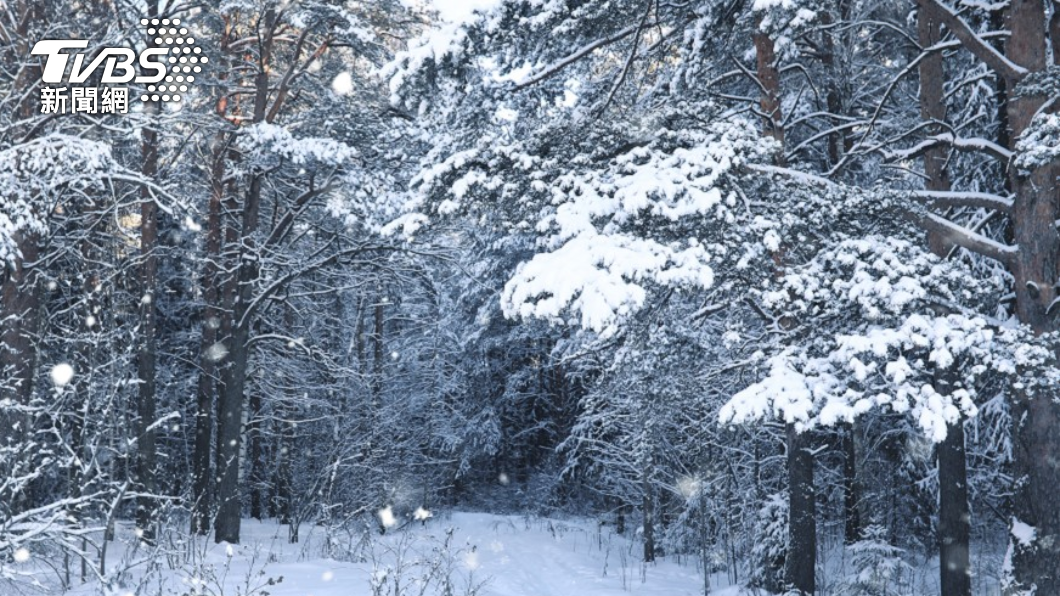 暴風雪將襲美東北部!逾5千航班取消 各地發警報