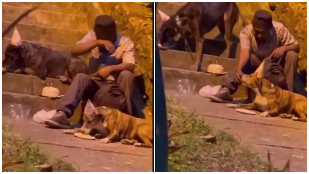 街友在幫愛犬慶生時頻頻拭淚但仍不忘分享自己的蛋糕給狗狗吃。(合成圖/翻攝自IG「@roteloperiodismo」)