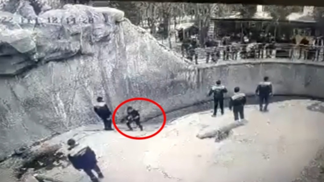 工作人員見狀緊急衝入棕熊區，將小女童帶離現場。（圖／翻攝Tashkent Zoo/east2west news）　　