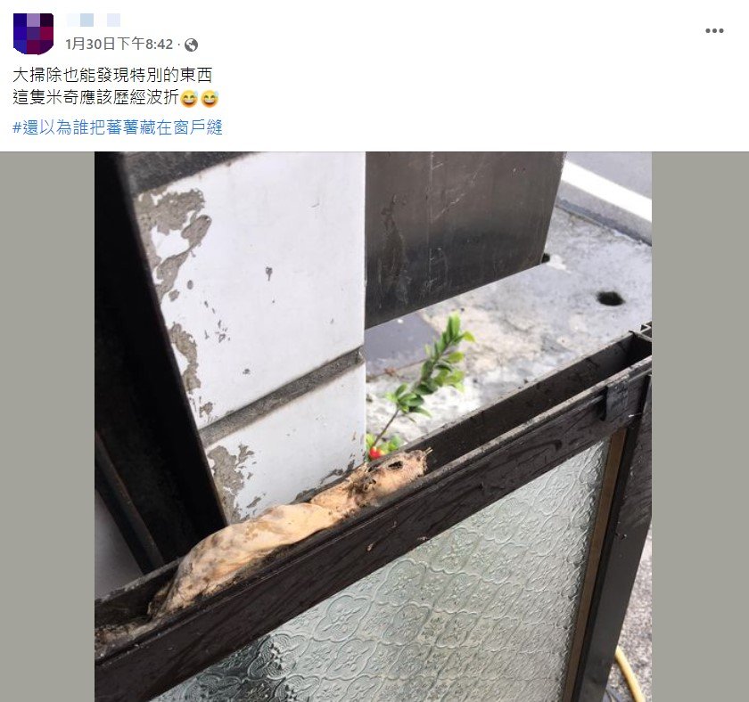 一名網友大掃除時發現動物屍體。(圖/翻攝自爆廢公社公開版)