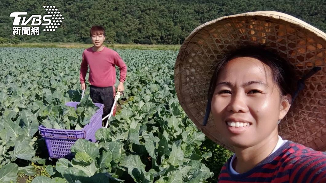 菲律賓青農赴台實習　驚嘆：效率超高大開眼界！